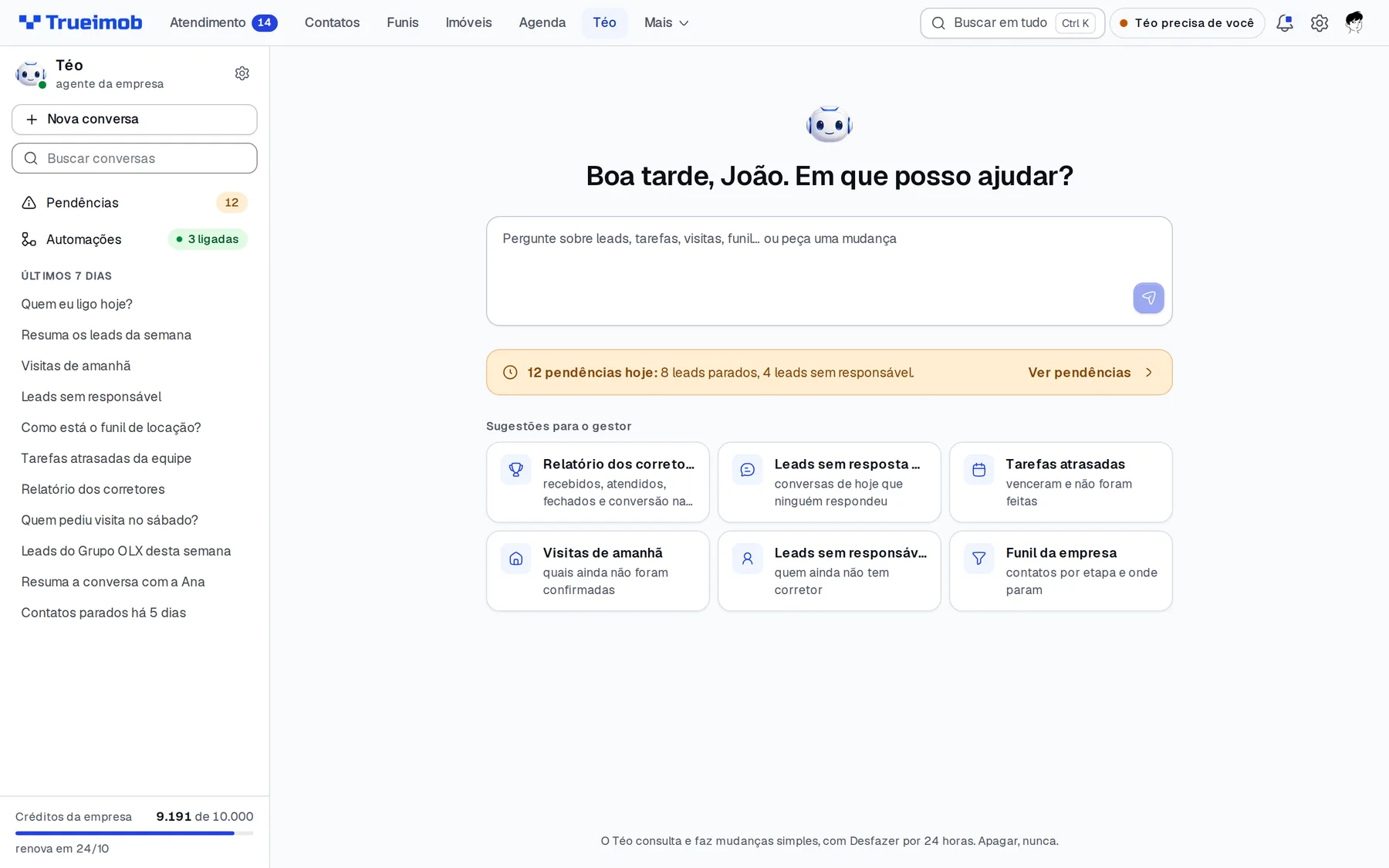 Tela do Téo para o gestor: pendências, automações e sugestões